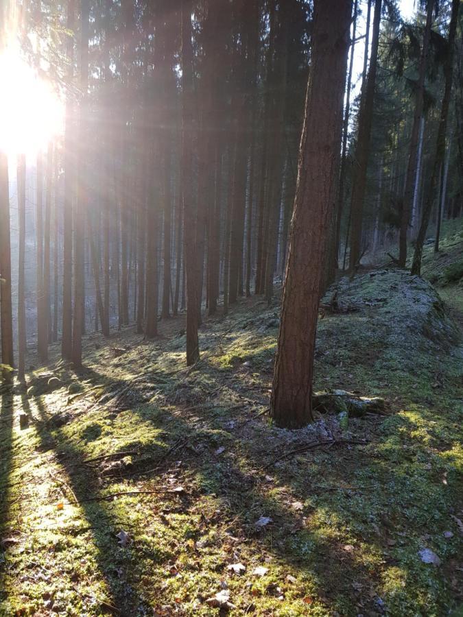 Thueringer Landhotel Edelhof Uhlstädt المظهر الخارجي الصورة